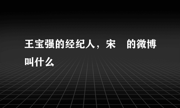 王宝强的经纪人，宋喆的微博叫什么