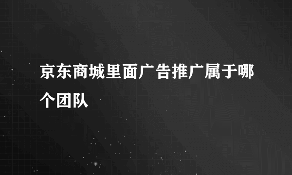 京东商城里面广告推广属于哪个团队