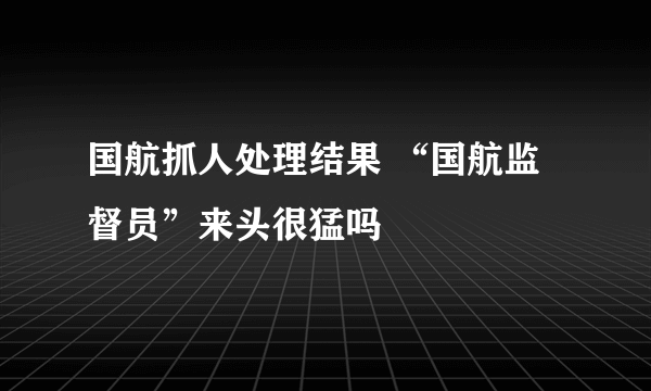 国航抓人处理结果 “国航监督员”来头很猛吗