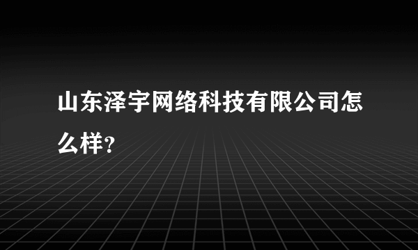 山东泽宇网络科技有限公司怎么样？