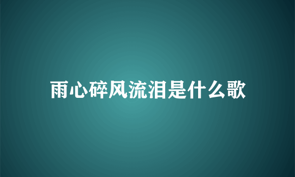 雨心碎风流泪是什么歌