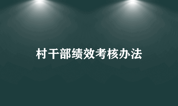 村干部绩效考核办法