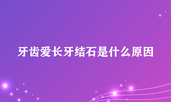 牙齿爱长牙结石是什么原因