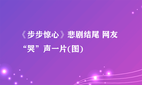 《步步惊心》悲剧结尾 网友“哭”声一片(图)