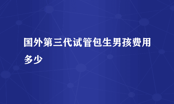 国外第三代试管包生男孩费用多少