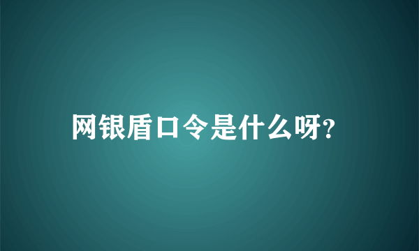 网银盾口令是什么呀？