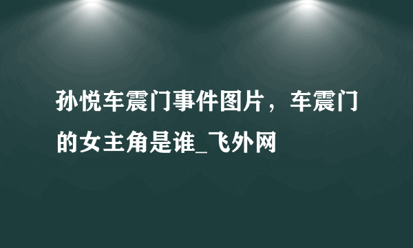 孙悦车震门事件图片，车震门的女主角是谁_飞外网