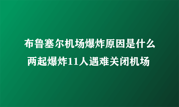 布鲁塞尔机场爆炸原因是什么 两起爆炸11人遇难关闭机场