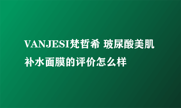 VANJESI梵哲希 玻尿酸美肌补水面膜的评价怎么样