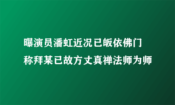 曝演员潘虹近况已皈依佛门   称拜某已故方丈真禅法师为师