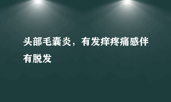 头部毛囊炎，有发痒疼痛感伴有脱发