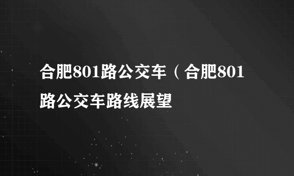 合肥801路公交车（合肥801路公交车路线展望