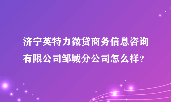 济宁英特力微贷商务信息咨询有限公司邹城分公司怎么样？