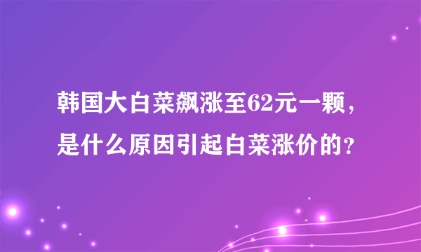 韩国大白菜飙涨至62元一颗，是什么原因引起白菜涨价的？