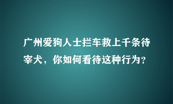 广州爱狗人士拦车救上千条待宰犬，你如何看待这种行为？