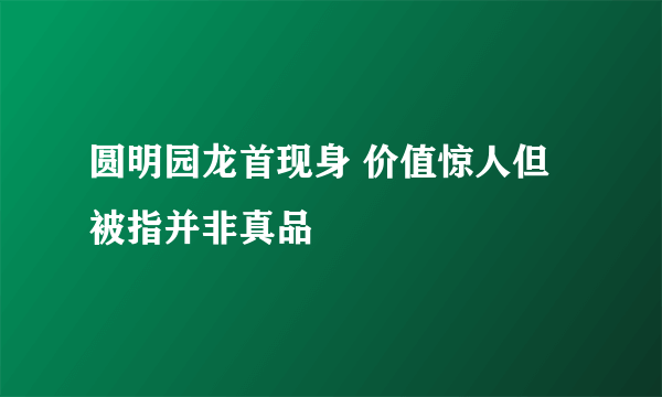 圆明园龙首现身 价值惊人但被指并非真品