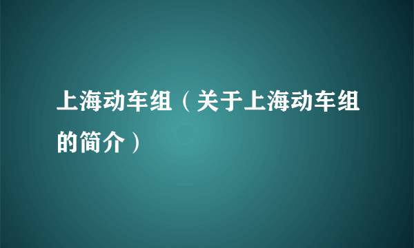 上海动车组（关于上海动车组的简介）