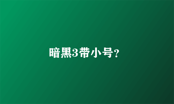 暗黑3带小号？