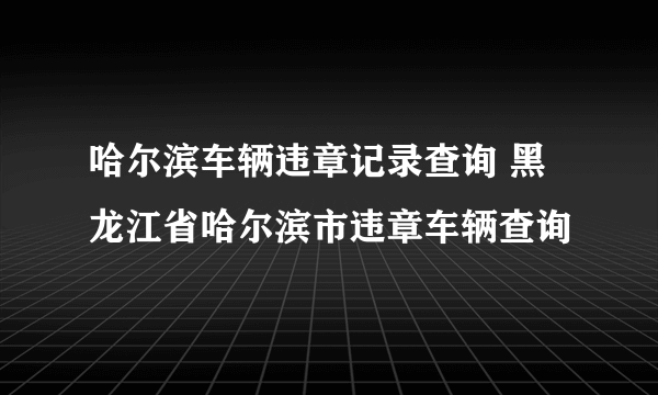 哈尔滨车辆违章记录查询 黑龙江省哈尔滨市违章车辆查询