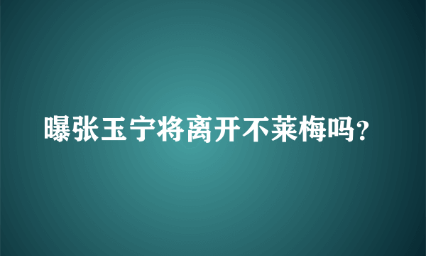 曝张玉宁将离开不莱梅吗？