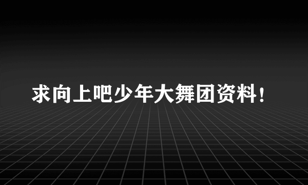 求向上吧少年大舞团资料！