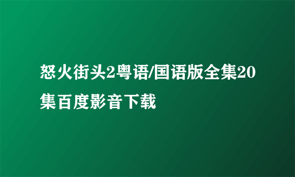 怒火街头2粤语/国语版全集20集百度影音下载