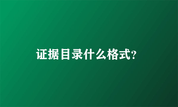 证据目录什么格式？