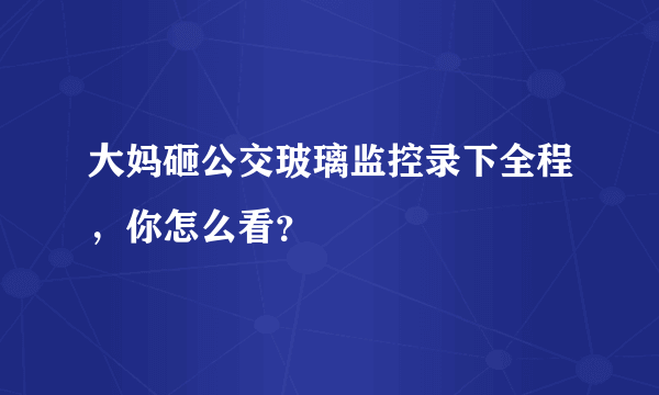 大妈砸公交玻璃监控录下全程，你怎么看？