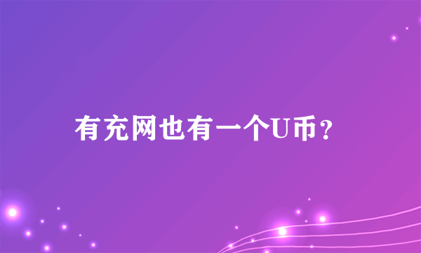 有充网也有一个U币？