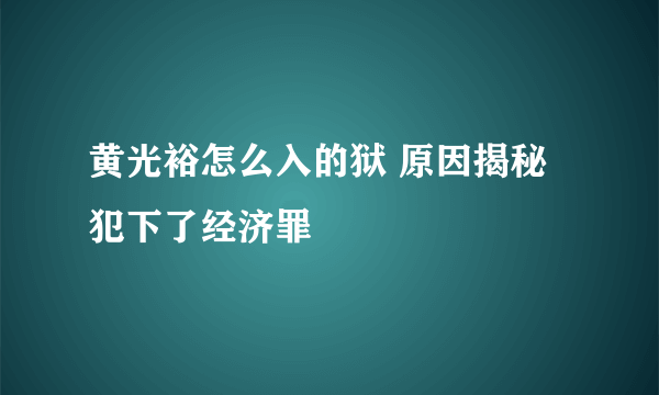 黄光裕怎么入的狱 原因揭秘犯下了经济罪