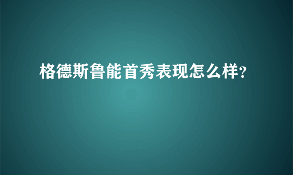 格德斯鲁能首秀表现怎么样？