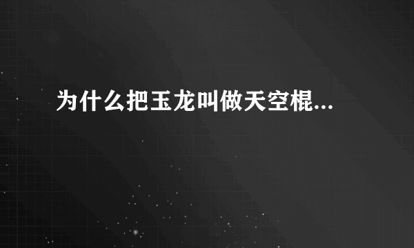 为什么把玉龙叫做天空棍...