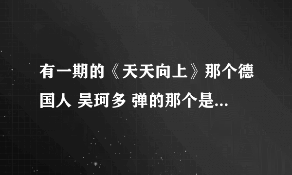 有一期的《天天向上》那个德国人 吴珂多 弹的那个是什么乐器啊？ 怎么弹？