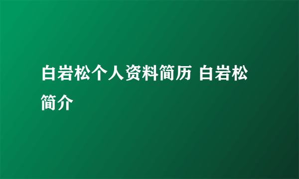 白岩松个人资料简历 白岩松简介