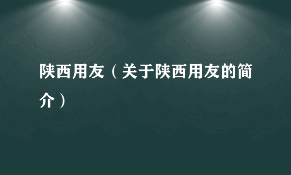 陕西用友（关于陕西用友的简介）