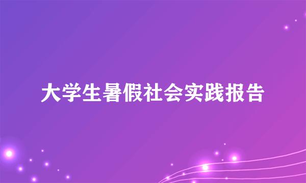 大学生暑假社会实践报告