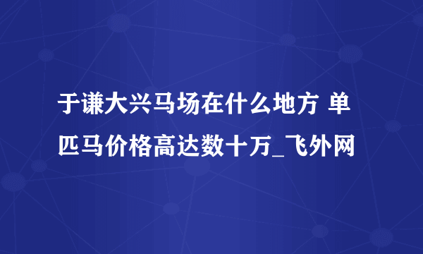 于谦大兴马场在什么地方 单匹马价格高达数十万_飞外网