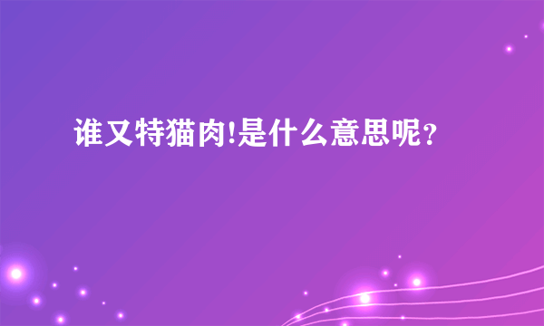 谁又特猫肉!是什么意思呢？