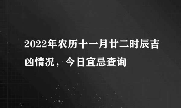 2022年农历十一月廿二时辰吉凶情况，今日宜忌查询