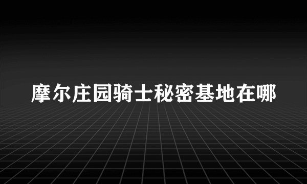 摩尔庄园骑士秘密基地在哪