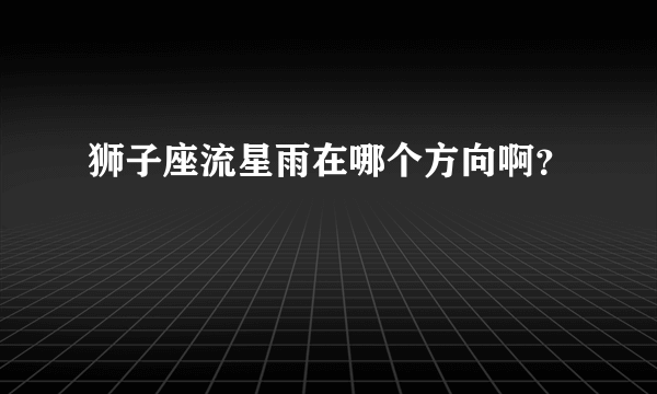 狮子座流星雨在哪个方向啊？