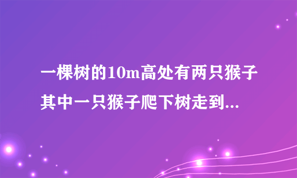 一棵树的10m高处有两只猴子其中一只猴子爬下树走到离树20m