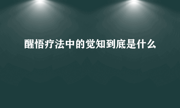 醒悟疗法中的觉知到底是什么