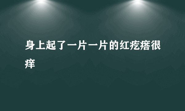 身上起了一片一片的红疙瘩很痒