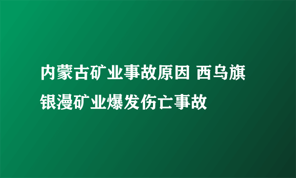 内蒙古矿业事故原因 西乌旗银漫矿业爆发伤亡事故