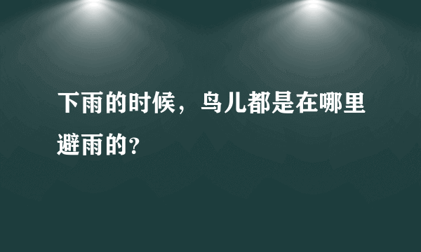 下雨的时候，鸟儿都是在哪里避雨的？