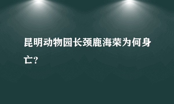 昆明动物园长颈鹿海荣为何身亡？