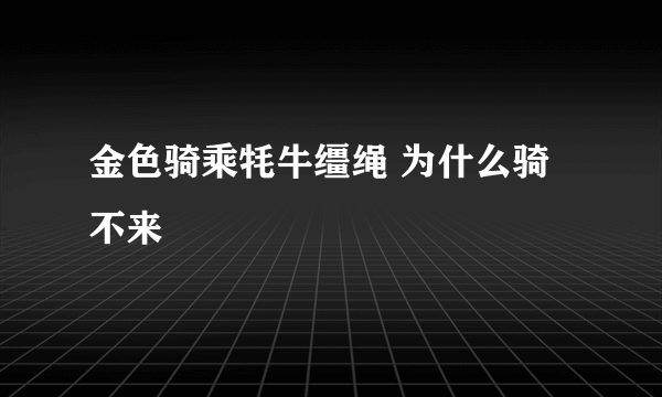 金色骑乘牦牛缰绳 为什么骑不来