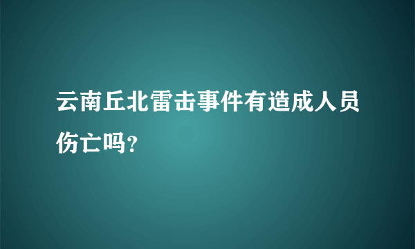 云南丘北雷击事件有造成人员伤亡吗？