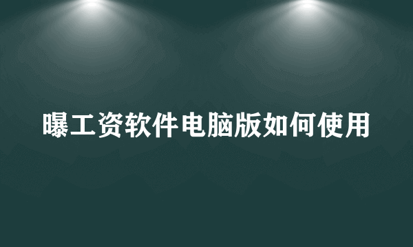 曝工资软件电脑版如何使用